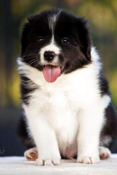 Loth Ardens Above And Beyond