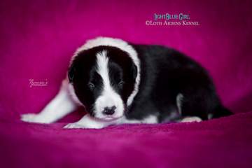 LightBlue Girl - 11 days old