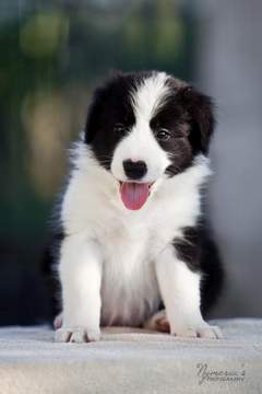 Loth Ardens Astral Dreams