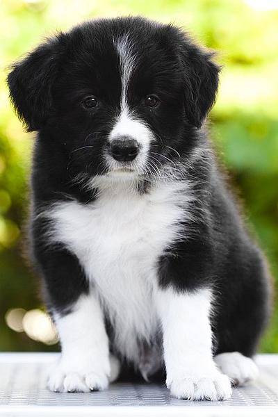 Loth Ardens By Your Side