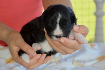 White girl - 10 days