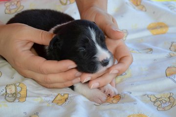 White girl - 10 days