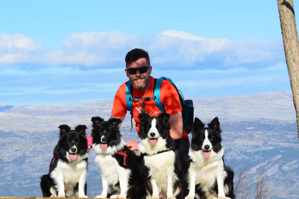 Border Collies in a mountains hiking trail