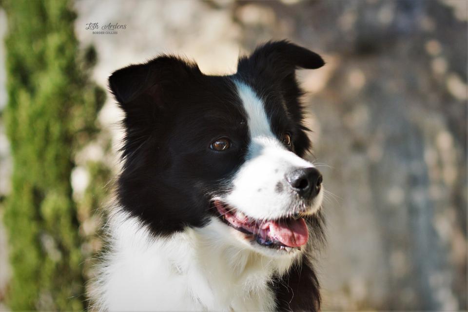 Lotta interested in something