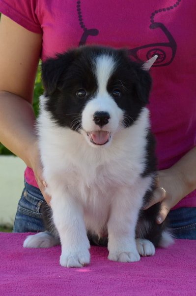 Loth Ardens Careless Whisper