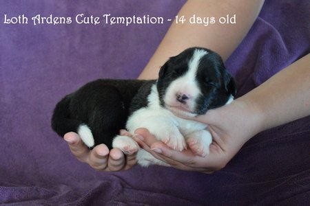 Girl 2 - 14 days