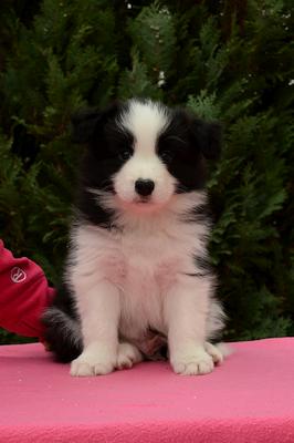 Loth Ardens Danger Zone